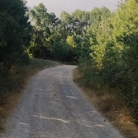 Matabuena Casa "El Villar" מראה חיצוני תמונה